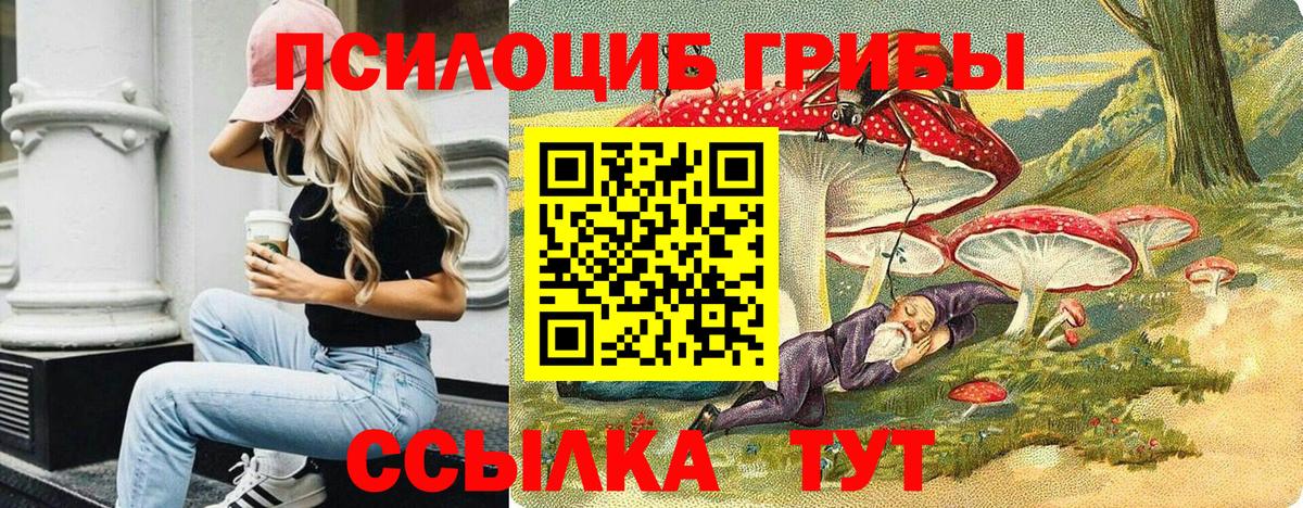 Галлюциногенные грибы мицелий  Вход с VPN  Элиста  Псилоцибиновые грибы Cubensis 