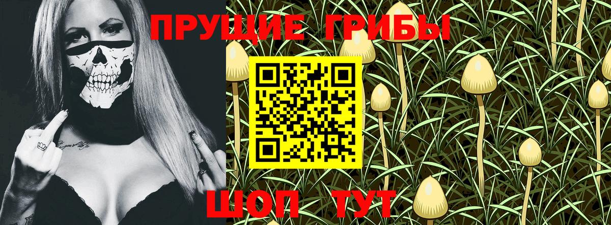 Псилоцибиновые грибы MAGIC MUSHROOMS Элиста